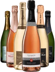 aperçu du vin Terroir de Vieilles Vignes Grand Millesime Extra Brut