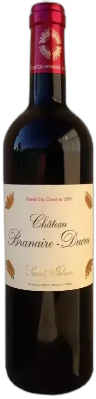 vue du vin Château Branaire Ducru 2010