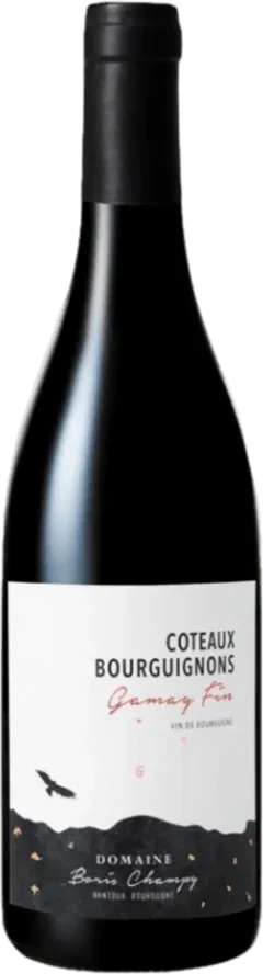 photo Boris Champy Coteaux Bourguignons Gamay Fin 2021