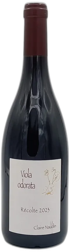 illustration du vin Myosotis Arvensis