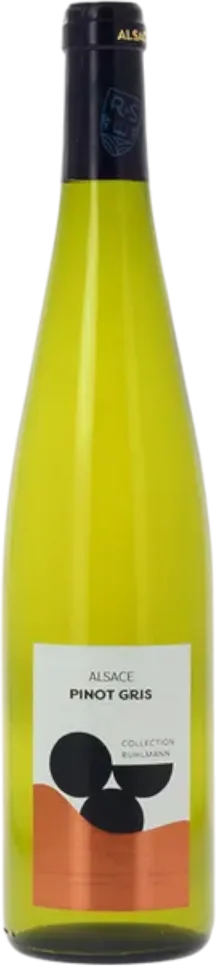 vue du vin Pinot Gris Aoc Alsace Pinot Gris Vin Blanc Bio Domaine Ruhlmann