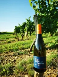 capture du vin Les Pierres Dorées