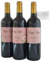 photo du vin Coteaux du Languedoc Domaine Peyre Rose Belle Léone Marlène Soria