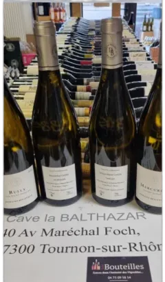 vue du vin Rully Saint Jacques Blanc Domaine Belleville