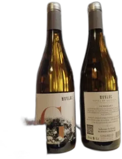 photo du vin Monluc Vin Sauvage Blanc