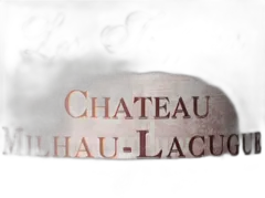 image du vin les Truffières