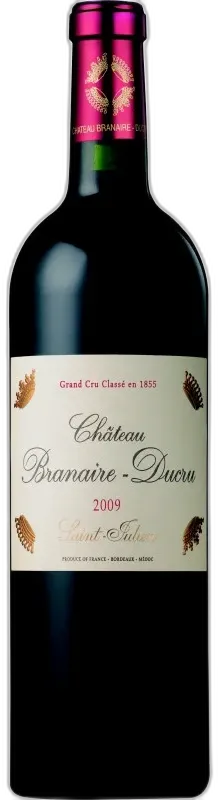 vue du vin Château Branaire Ducru 2010