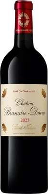vue du vin Château Branaire Ducru 2010