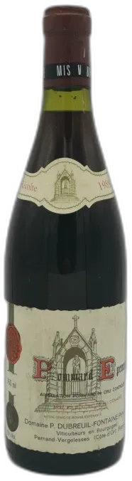 vue du vin Dubreuil Fontaine 1er Cru les Epenots