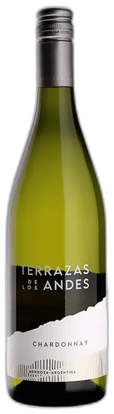 vue du vin Chardonnay Terrazas de Los Andes