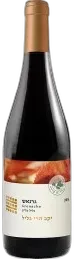 vue du vin Grenache Noir