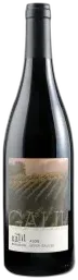 capture du vin Galil Alon
