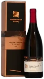 vue du vin Maayan Vineyard