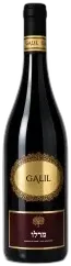 photo du vin Galil Vino Rosso Merlot