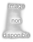 image du vin Camille Giroud