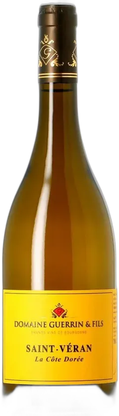 illustration du vin Saint Véran la Côte Dorée Domaine Guerrin et Fils