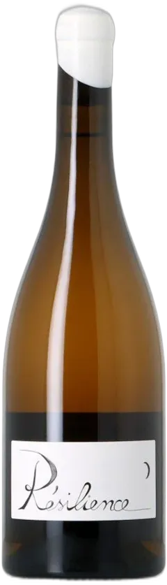 photo du vin Domaine Gilles Berlioz Chignin-Bergeron les Fripons 2021