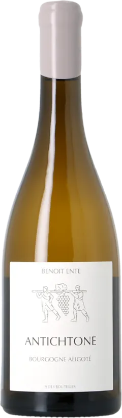 photo du vin Benoit Ente Bourgogne Aligoté Antichtone