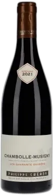 photo du vin Chambolle Musigny les Huit Climats Domaine Philippe Chéron