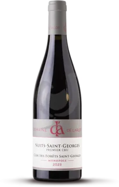 vue du vin Clos des Forêts Saint-Georges