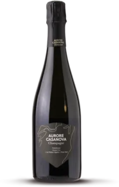 illustration du vin Puisieulx Grand Cru les Petites Vignes Pinot Noir