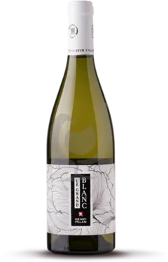 photo du vin Igp Méditerranée "le Blanc de S." Famille Sumeire