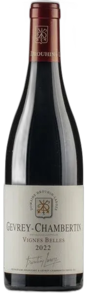 vue du vin Gevrey-Chambertin