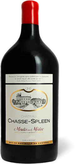 photo du vin Château Chasse Spleen