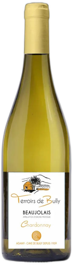 vue du vin Moulin à Vent