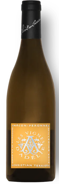 capture du vin Péronnes les Vignes d'Adélie
