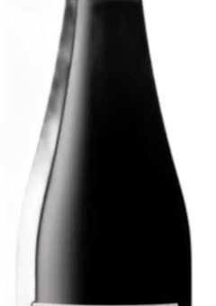 photo du vin Alsace Coteaux Calcaires Pinot Noir