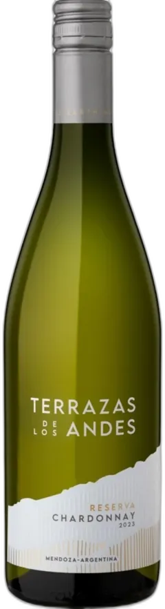 vue du vin Chardonnay Terrazas de Los Andes