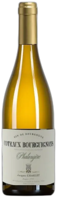 photo du vin Coteaux Bourguignons Domaine Vincent Bouzereau