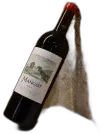 vue du vin Château Mangot