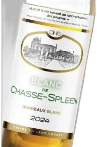 photo du vin Château Chasse Spleen