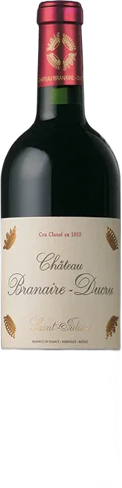 vue du vin Château Branaire Ducru 2010