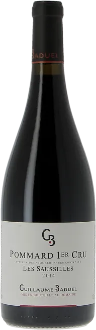 vue du vin Les Saussilles