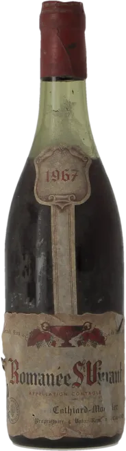 vue du vin Romanee-Saint-Vivant Grand Cru