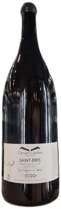 capture du vin Clement Lavallee Saint-Bris les Copains d’Abord