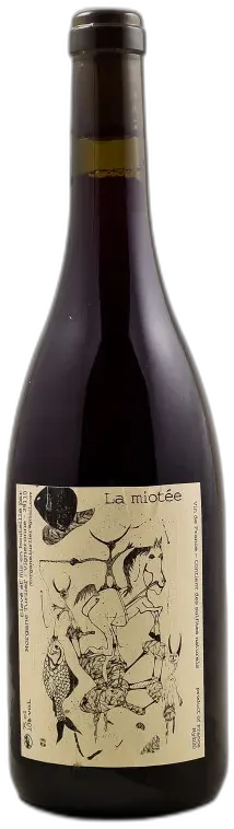 photos du vin Pangea Morgane Turlier