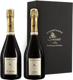 illustration du vin Cuvée des Caudalies le Mesnil les Chétillons Extra-Brut
