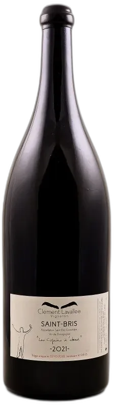 capture du vin Clement Lavallee Saint-Bris les Copains d’Abord