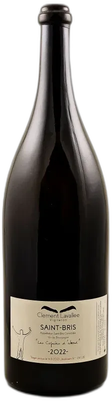 capture du vin Clement Lavallee Saint-Bris les Copains d’Abord