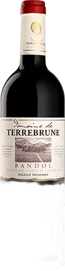 vue du vin Domaine de Terrebrune