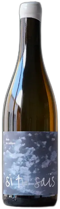 vue du vin Rully "les Cailloux" Pierre Boisson