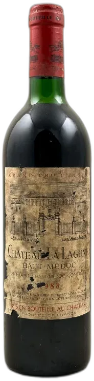 vue du vin Château la Lagune