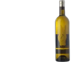 vue du vin Clos d’Agon