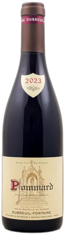 vue du vin Dubreuil Fontaine 1er Cru les Epenots