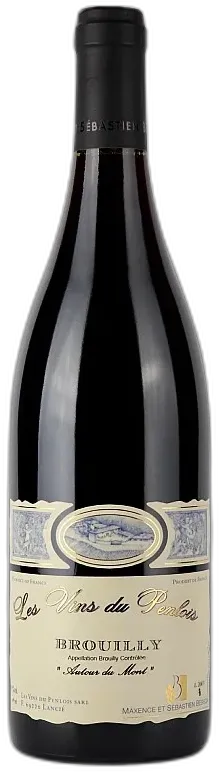 capture du vin Autour du Mont Brouilly