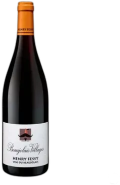 vue du vin Fessy Beaujolais-Villages